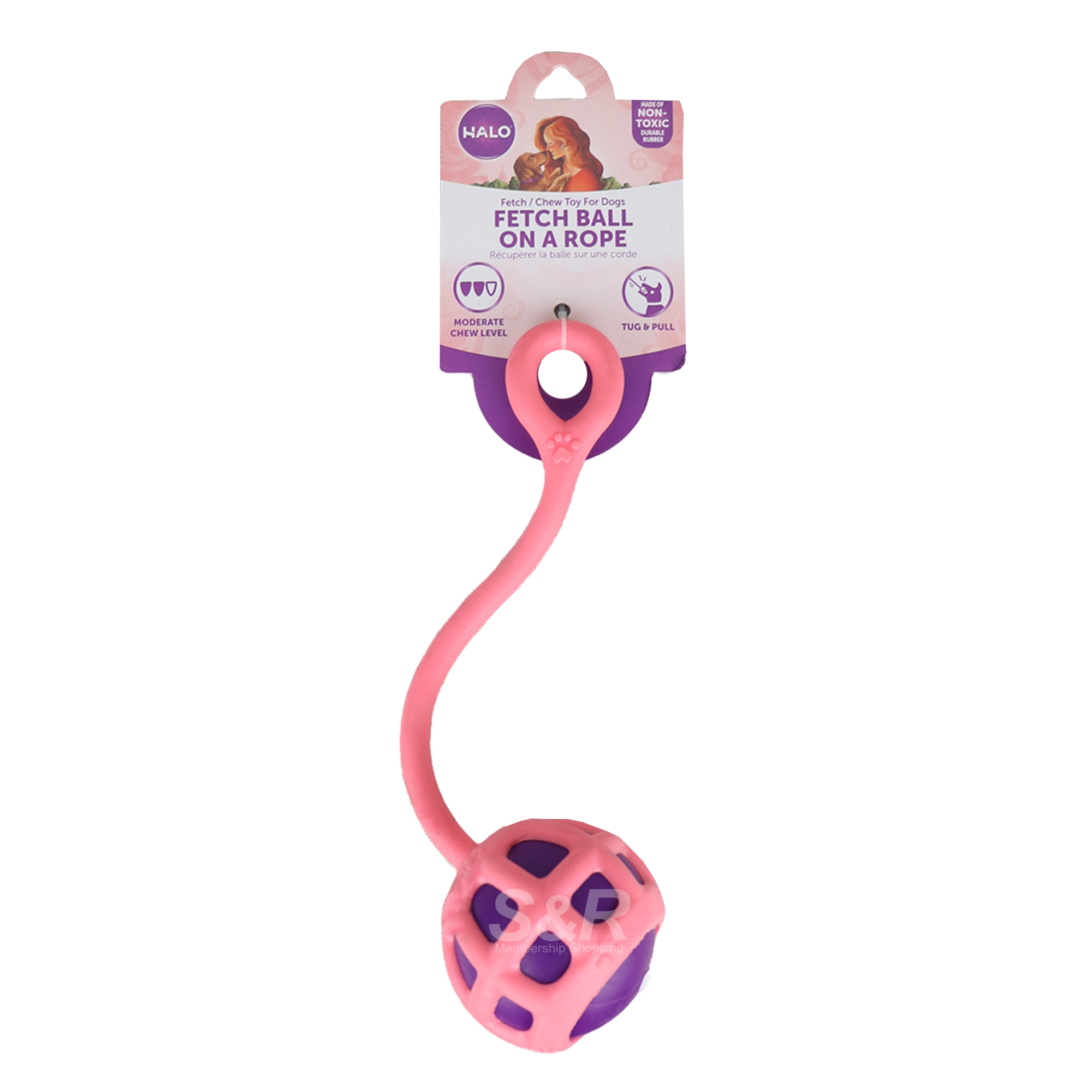 Halo Fetch/Chew Ball On A Rope Toy For Dogs